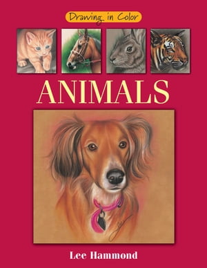 Drawing in Color - Animals