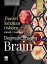 Diagnostic Imaging: Brain E-Book