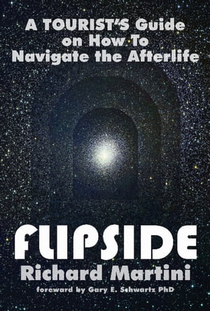 Flipside: A Tourist's Guide on How To Navigate the Afterlife