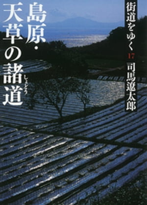 街道をゆく 17【電子書籍】[ 司馬遼太郎 ]のサムネイル