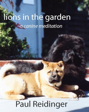 Lions in the Garden: A Canine Meditation