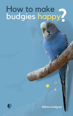 How To Make Budgies Happy?