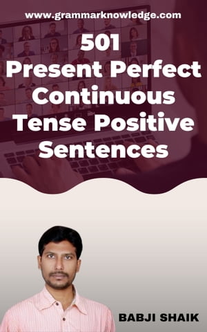 501 Present Perfect Continuous Tense Positive Sentences