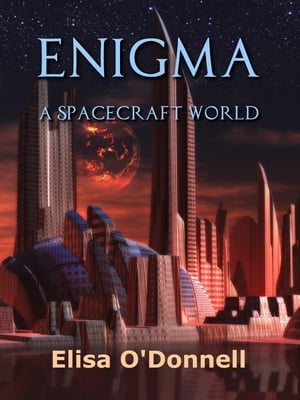 Enigma: A Spacecraft World