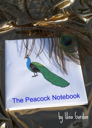 The Peacock Notebook - an easy yet intriguing read