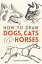 How to Draw Dogs, Cats and Horses