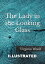 The Lady in the Looking-Glass Illustrated