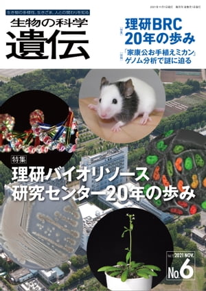 生物の科学 遺伝 2021年11月発行号 Vol.75 No.6