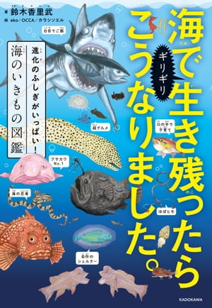 海でギリギリ生き残ったらこうなりました。　進化のふしぎがいっぱい！海のいきもの図鑑