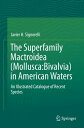 The Superfamily Mactroidea (Mollusca:Bivalvia) in American Waters An Illustrated...