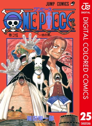 ONE PIECE カラー版 25