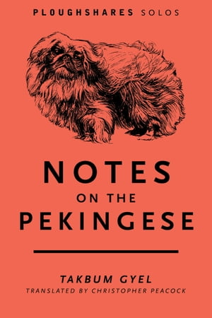 Notes on the Pekingese