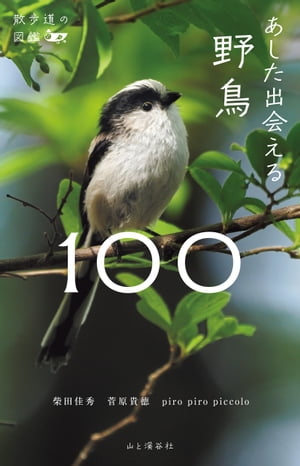 散歩道の図鑑 あした出会える野鳥100