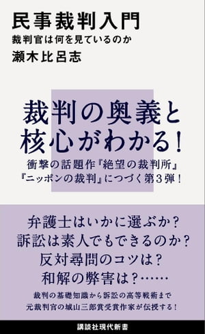 民事裁判入門　裁判官は何を見ているのか