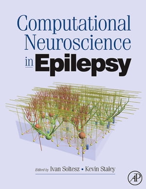Computational Neuroscience in Epilepsy【電子書籍】