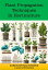 PLANT PROPAGATION TECHNIQUES IN HORTICULTURE