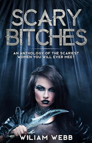 Scary Bitches: An Anthology of the Scariest Women You Will Ever Meet