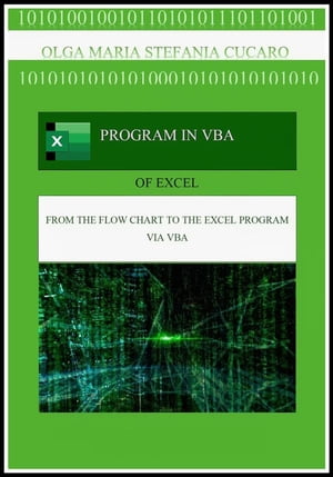 Program in VBA (Visual Basic for Applications)