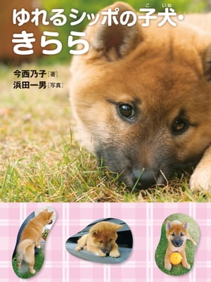 ゆれるシッポの子犬・きらら