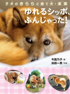 子犬のきららと捨て犬・未来 ゆれるシッポ、ふんじゃった！