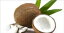 How to Grow Coconuts