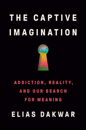 The Captive Imagination