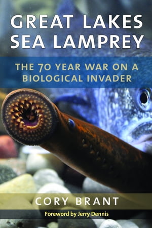 Great Lakes Sea Lamprey