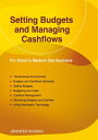 Setting Budgets And Managing Cashflows【電子