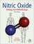 Nitric Oxide