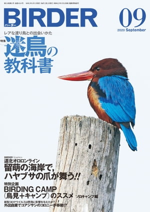 ＜p＞日本で唯一の本格的バードウォッチングマガジン、BIRDER（バーダー）。野鳥グラビア、探鳥地情報、生態・識別・環境保全・観察アイテム・グッズなど、鳥を知り、環境について考えるための記事が満載！＜/p＞ ＜p＞渡りのコースから外れ、迷って日本に飛来した鳥たちを『迷鳥（めいちょう）』と呼ぶ。生息地の違う迷鳥たちは、本来であれば日本で見ることはできない鳥たちだ。＜br /＞ 今号ではこの迷鳥に焦点を当て、近年日本に飛来した最新の珍迷鳥図鑑や、今秋の渡りシーズンで出会えることを期待したい迷鳥リストなどを収録。今秋の渡りシーズンには迷鳥・珍鳥を探してみませんか？＜/p＞画面が切り替わりますので、しばらくお待ち下さい。 ※ご購入は、楽天kobo商品ページからお願いします。※切り替わらない場合は、こちら をクリックして下さい。 ※このページからは注文できません。