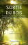 SORTIE DU BOIS Des strat?gies surprenantes pour se sortir de moments difficiles, se d?faire de la d?pression et transformer sa vie une fois pour toutes.Żҽҡ[ Cynthia Daoust ]