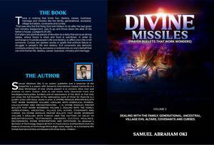 DIVINE MISSILES (PRAYER BULLETS THAT WORK WONDERS) VOLUME 2