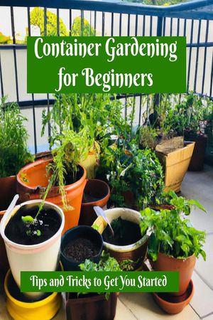 Container Gardening for Beginners: Tips and Tricks to Get You Started