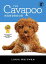 The Cavapoo Handbook