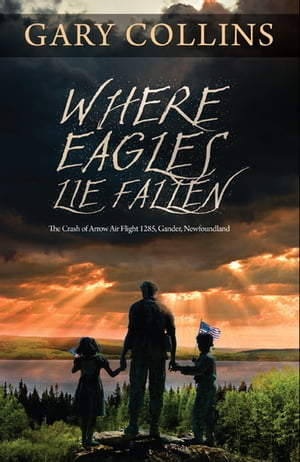 Where Eagles Lie Fallen: The Crash of Arrow Air Flight 1285 Gander Newfoundland