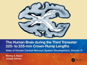 The Human Brain during the Third Trimester 225– to 235–mm Crown-Rump Lengths