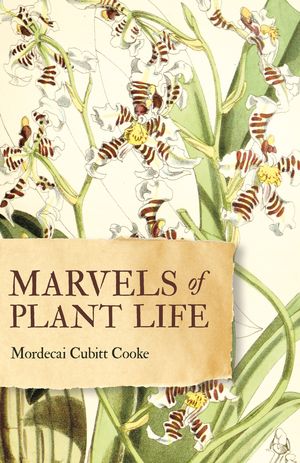ŷKoboŻҽҥȥ㤨Marvels of Plant Life Curiosities of VegetationŻҽҡ[ Mordecai Cubitt Cooke ]פβǤʤ1,122ߤˤʤޤ