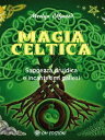 Magia celtica Saggezza druidica e incantesimi gallesi