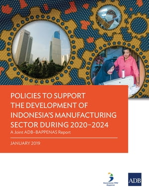 Policies to Support the Development of Indonesia