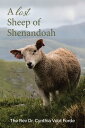 A Lost Sheep of Shenandoah Charles Edwin Rinker 