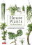 House Plants for Every Space