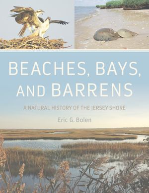 Beaches, Bays, and Barrens A Natural History of the Jersey ShoreŻҽҡ[ Eric G. Bolen ]