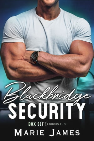 Blackbridge Security Box Set 1