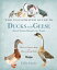 The Illustrated Guide to Ducks and Geese and Other Domestic Fowl