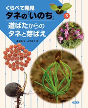 くらべて発見　タネの「いのち」　道ばたからのタネと芽ばえ