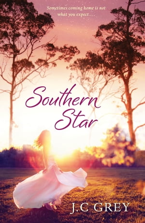 Southern Star: Destiny Romance Destiny Romance