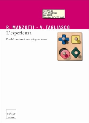 L'esperienza. Perché i neuroni non spiegano tutto