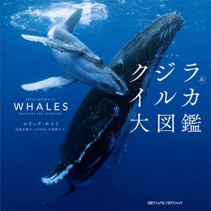 ビジュアル クジラ＆イルカ大図鑑