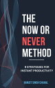 The Now or Never Method: 9 Strategies for Instant Productivity