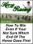 Horse Racing: How To Win Even If Your Not Sure Which End Of The Horse Goes First